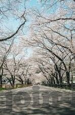 国产精品果冻传媒潘甜甜-国产精品果冻传媒潘甜甜，探索本土创意与艺术的新篇章