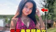 果冻传媒杜鹃搬家-杜鹃新居，果冻传媒的迁徙与蜕变