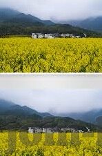 麻豆视频在线国产-麻豆视频在线国产，本土网络影像的多元呈现与文化共鸣