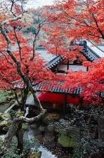 蜜桃传媒麻豆-蜜桃传媒与麻豆的魅力篇章——网络娱乐文化的独特视角