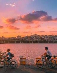 糖心app官网下载最新-探索缤纷娱乐新界，糖心App官网最新版下载全解析