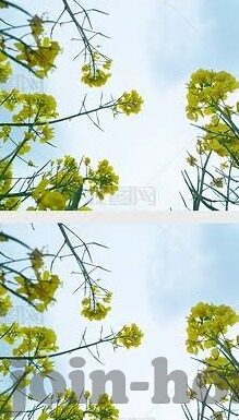 糖心app苹果版下载-如何获得糖心APP苹果版，一步到位的指南