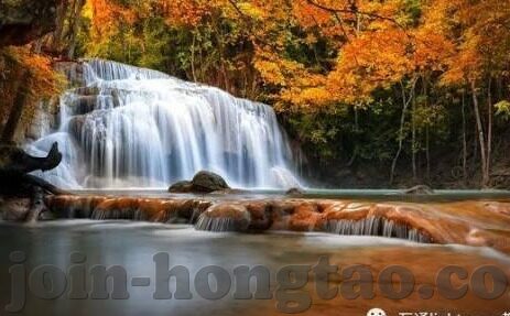 糖心vlog女主角多人-糖心Vlog——女主角们的多元视角